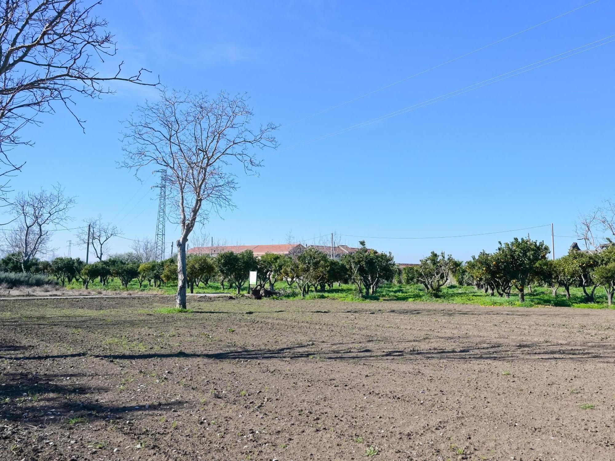 Don Peppe Rooms : Villaggio Green Sant'Angelo in Formis Exterior photo